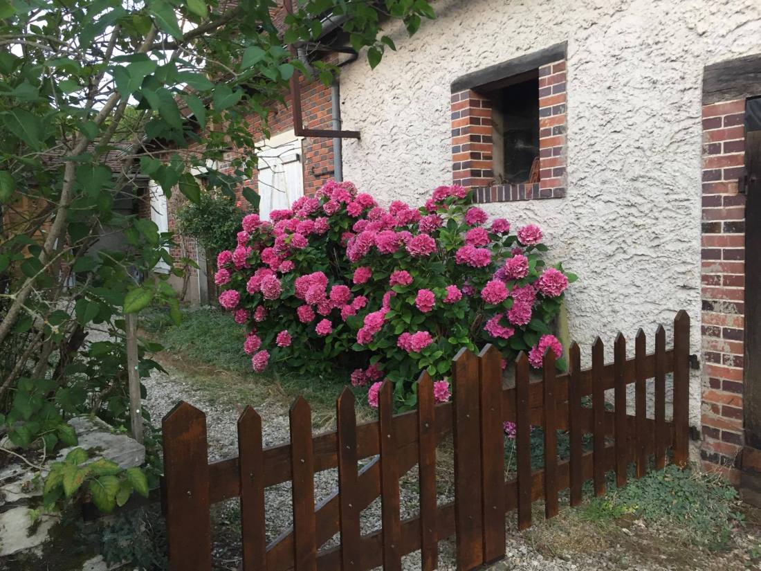 111393273_2385174251786117_6274134194883982323_n